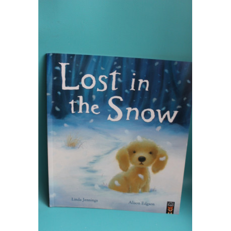 Lost in the Snow
